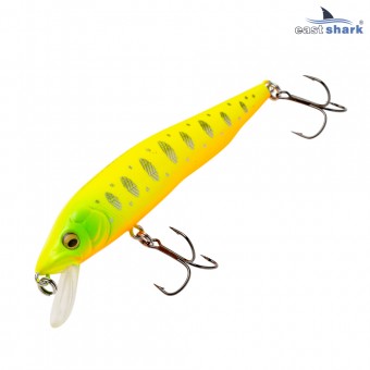 Воблер EastShark Kudo 9.5см. 10г. 0.8-1m Suspending col.#004